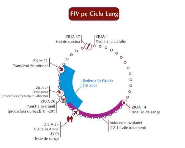 Stimularea ovariană - Fertilizarea in Vitro - Centrul de FIV Mitosis