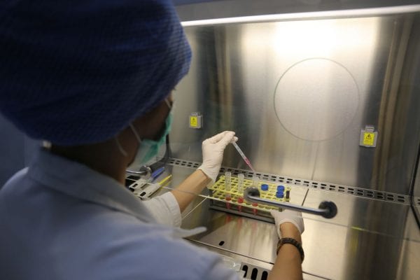 Karyotyp von peripherem Blut - Zytogenetik Diensleistungen - Zentrum IVF Mitosis