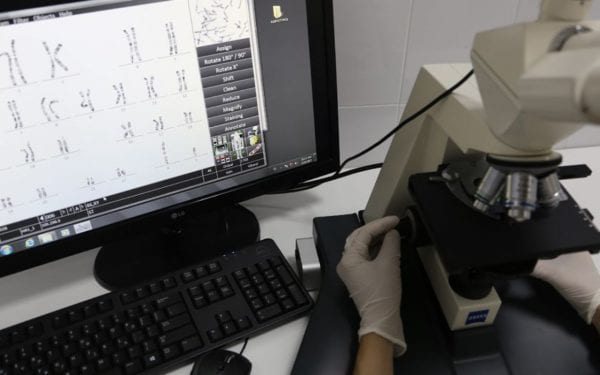 Karyotyp von peripherem Blut - Zytogenetik Diensleistungen - Zentrum IVF Mitosis