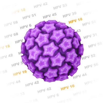 Rilevamento molecolare-Genotipizzazione-Papillomavirus-Umano-(HPV)-Centro-FIV-Mitosi