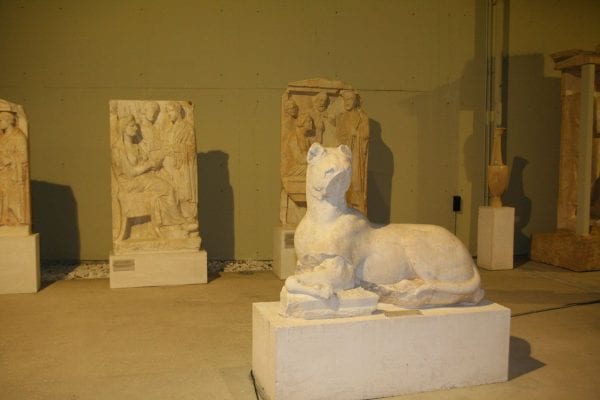 Puntos de interés - Centro de Fecundación In Vitro Mitosi