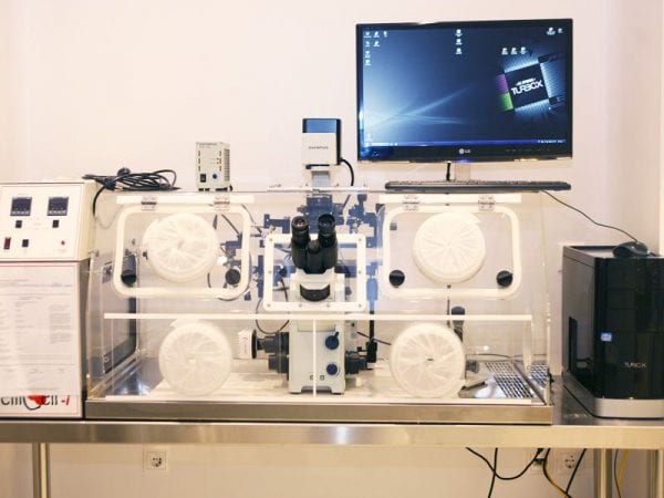 Attrezzature - Centro di Fecondazione in Vitro - Mitosi