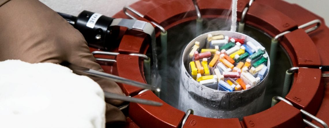 Crioprezervarea - Fertilizarea in Vitro - Centrul de FIV Mitosis