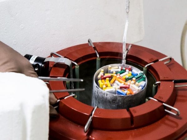 Attrezzature - Centro di Fecondazione in Vitro - Mitosi