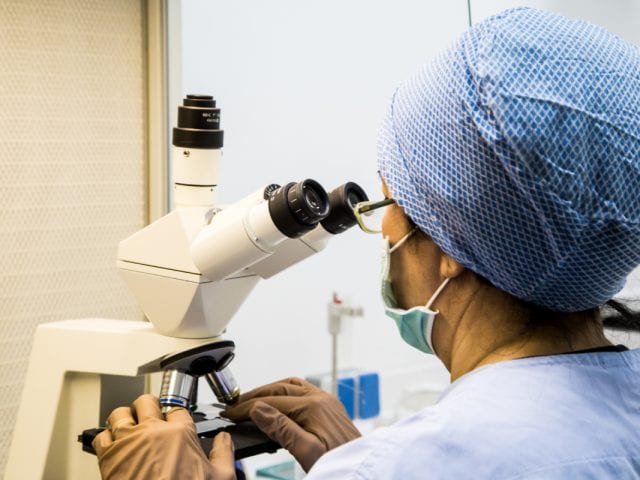 Every last baby, every last egg - In Vitro Fertilization Services - Centre FIV Mitosis