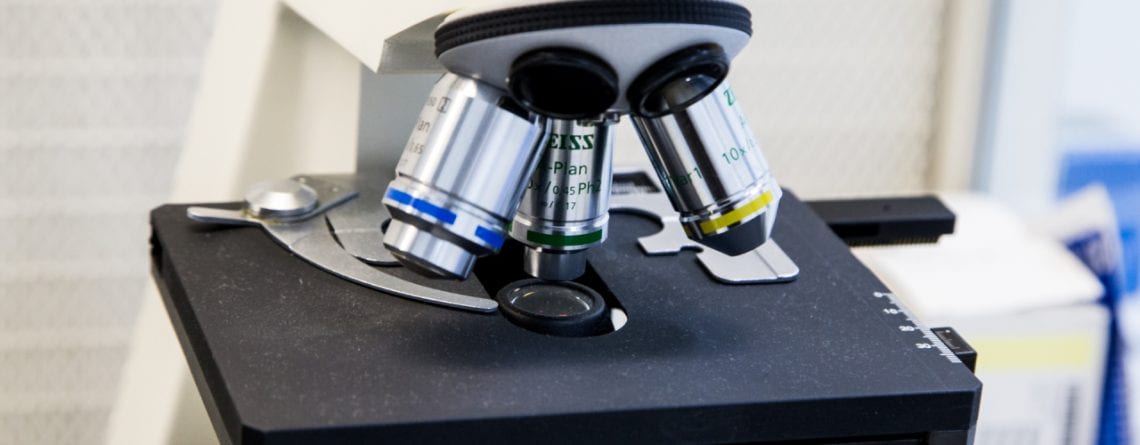 Every last baby, every last egg - In Vitro Fertilization Services - Centre FIV Mitosis