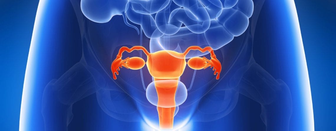 Factori determinanți ai sindromului ovarelor polichistice - Centrul de FIV Mitosis