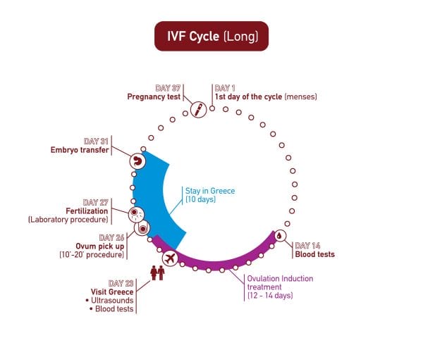 Ovulation Induction - In Vitro Fertilization - Centre FIV Mitosis
