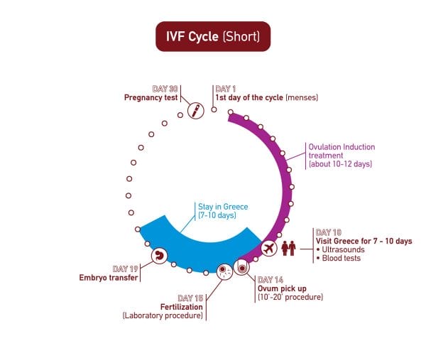 Ovulation Induction - In Vitro Fertilization - Centre FIV Mitosis