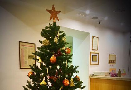 Merry Christmas - In Vitro Fertilization Services - Centre FIV Mitosis