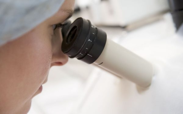 Por que elegir Mitosis - Centro de Fecundación In Vitro Mitosi