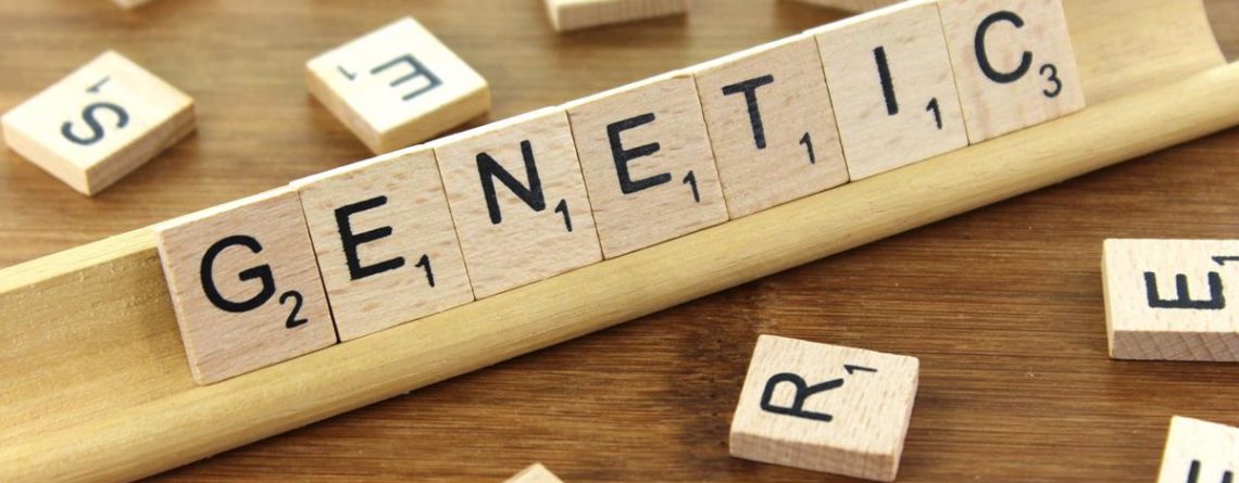 Preimplantation Genetic Diagnosis - In Vitro Fertilization Services - Centre FIV Mitosis