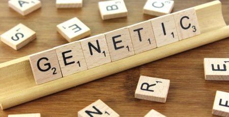 Preimplantation Genetic Diagnosis - In Vitro Fertilization Services - Centre FIV Mitosis