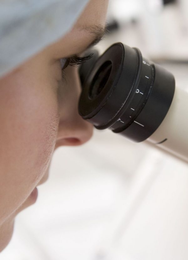 Why Mitosis - IVF Abroad - In Vitro Fertilization Services - Centre FIV Mitosis