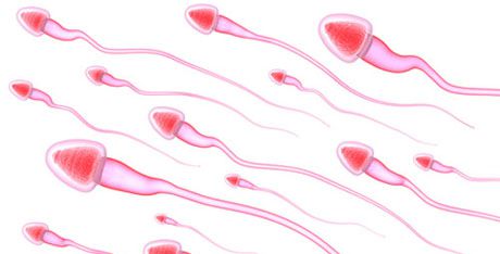 Άρθρο του Δρ. Αρκουλή στο Υγείαonline για το Σπερμοδιάγραμμα