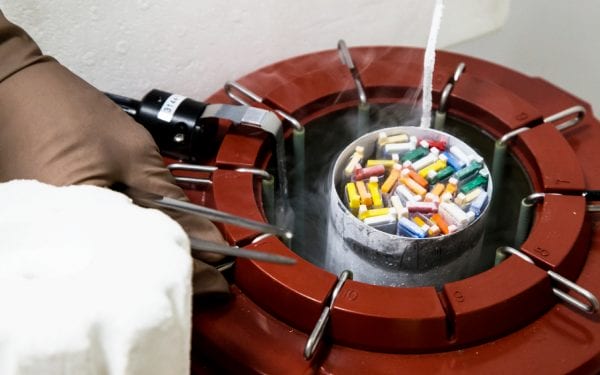 Crioconservazione - Centro di Fecondazione in vitro Mitosi