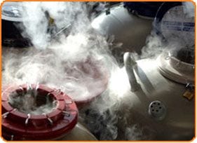 Crioprezervarea ovulelor - Centrul de FIV Mitosis