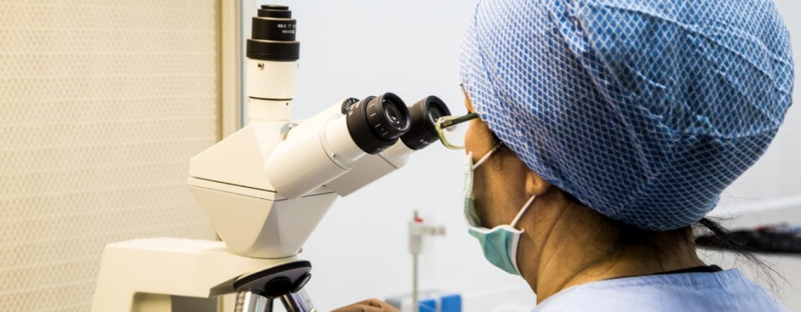 Mitarbeiter des In-vitro-Fertilisationszentrums "Mitosis"