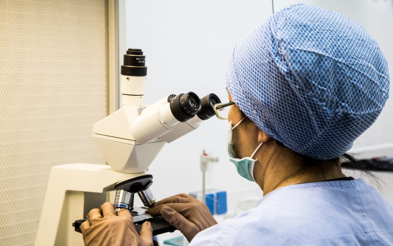 Mitarbeiter des In-vitro-Fertilisationszentrums Mitosis