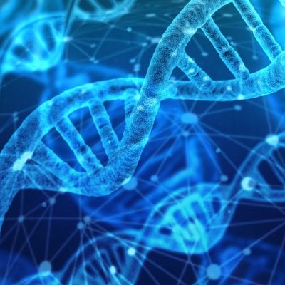 Test Genetic KIR-HLA C - FIV Grecia - Fertilizare In Vitro - Centrul FIV Mitosis