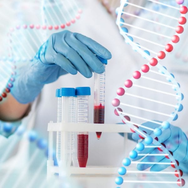 Dienstleistungen Molekularbiologie - Zentrum IVF Mitosis