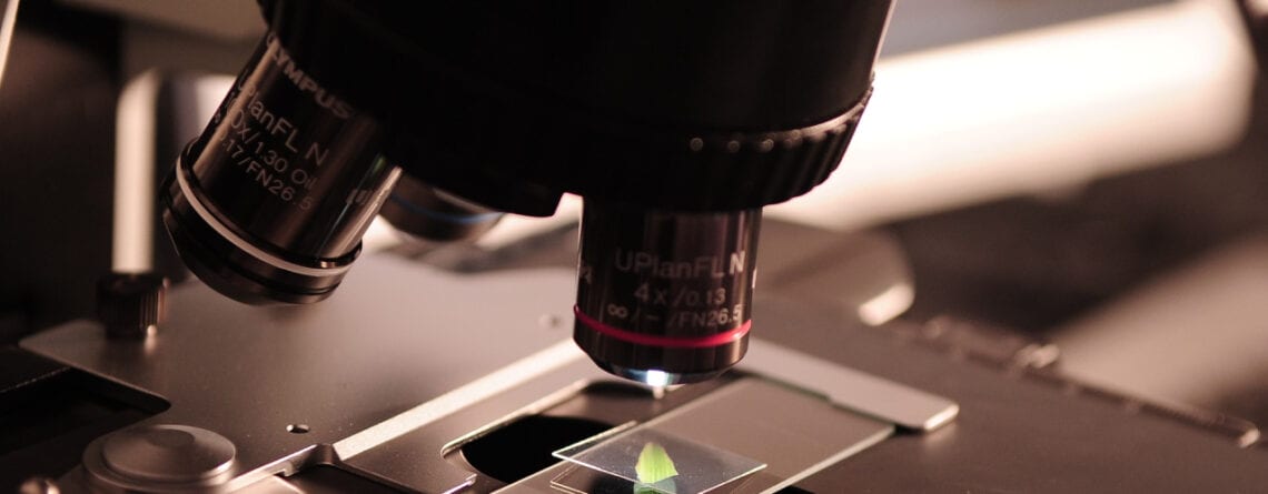 Η Διερεύνηση της Αντρικής Υπογονιμότητας - Δημοσιεύσεις Κέντρου Εξωσωματικής Γονιμοποίησης «Μίτωση»